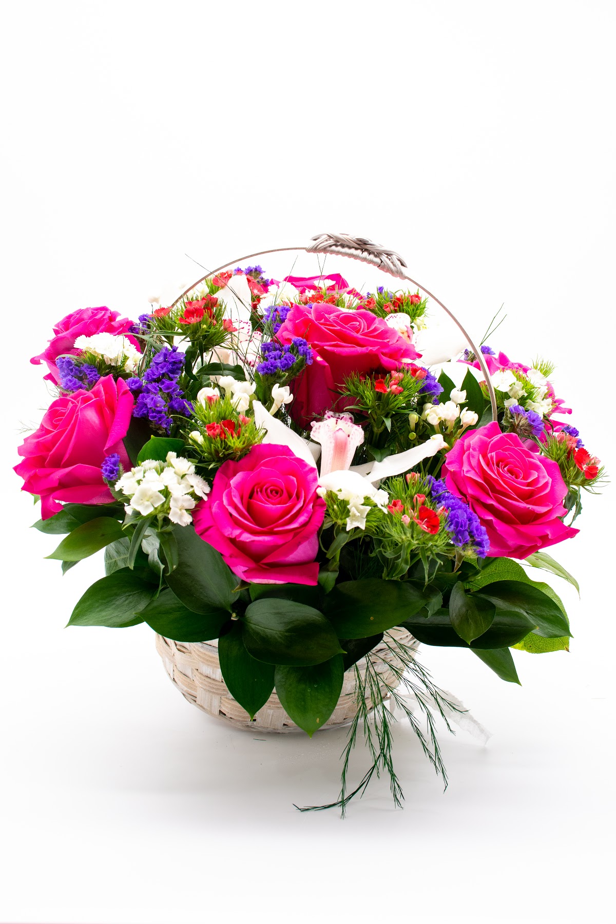 FLORARIA DOMENII